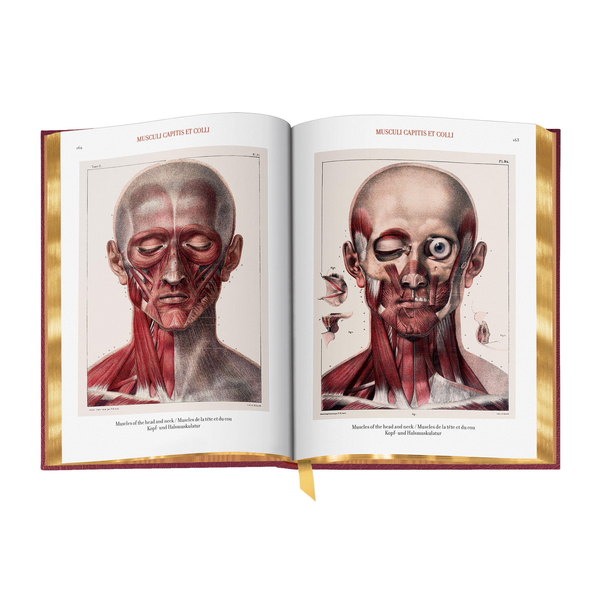 Jm Bourgerys And Nh Jacobs The Complete Atlas Of Human Anatomy And Surgery 