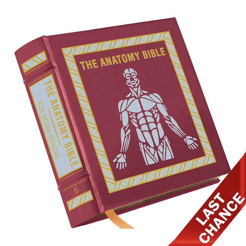 The Anatomy Bible